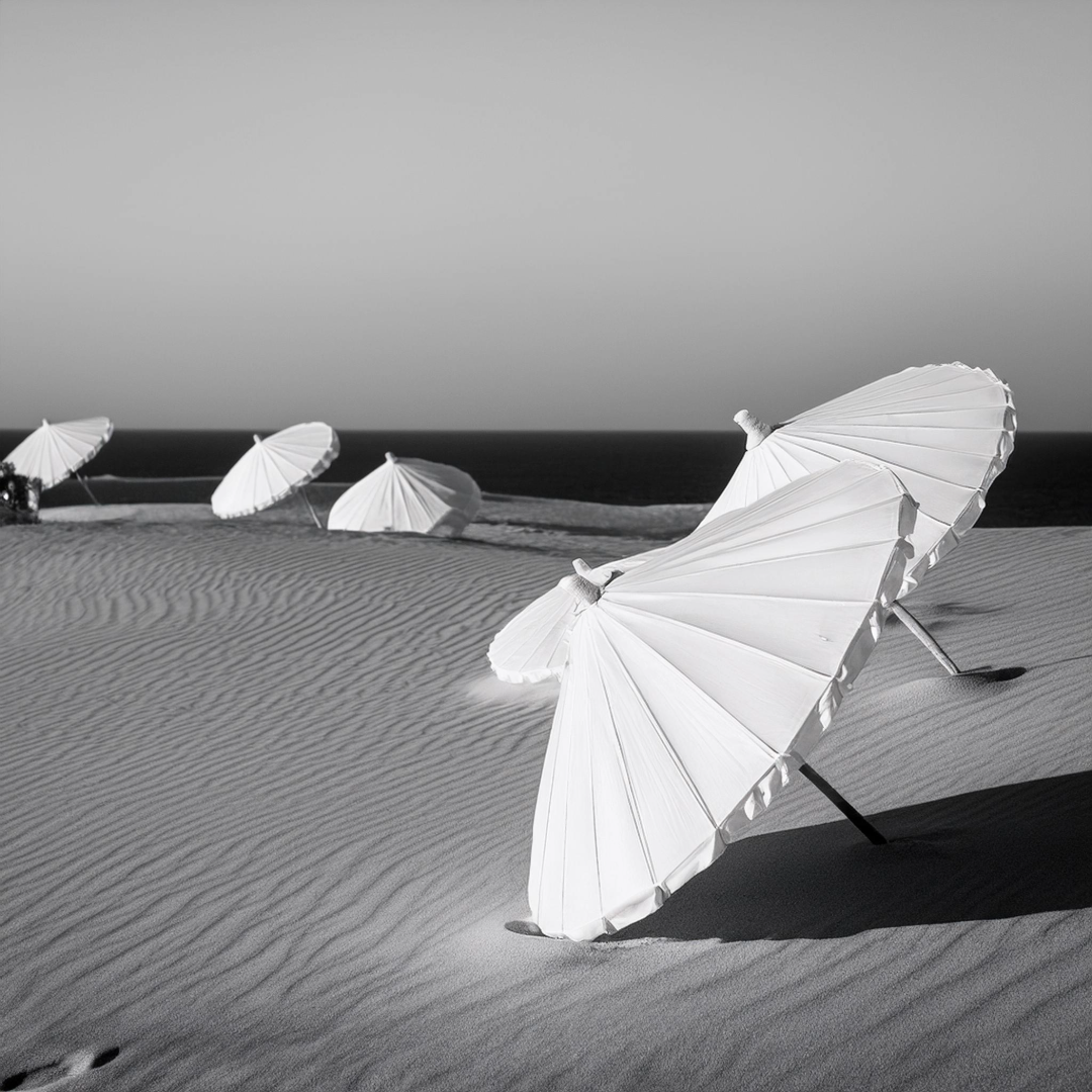 B E A C H. S I G N A T U R E. S W I M / W